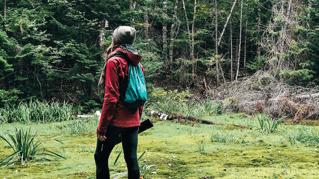 Randonnée sur les falaises